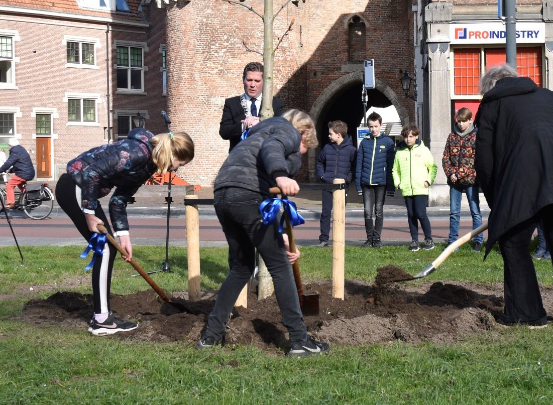 AnneFrankboom fotocredits Ruud de Groot 7